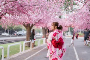 Woman in pink kimono admiring cherry blossoms along a city street.