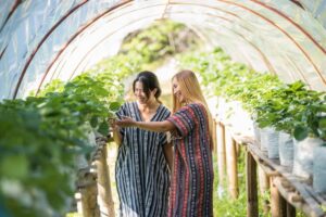 Two women in traditional dresses smiling and examining plants in a sunlit greenhouse.