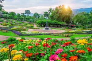 Lush botanical garden with colourful flower beds, a central fountain, and a mountain backdrop, lit by the setting sun.